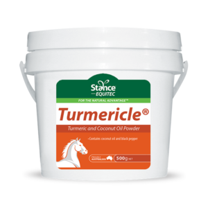 Turmericle 500g